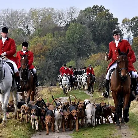 Frühstückspension De Schepenhof Noorbeek